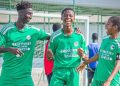 Gambinos Stars Africa