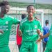 Gambinos Stars Africa