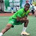 Angelo Agbejoye