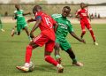 Gambinos Stars Africa