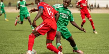 Gambinos Stars Africa