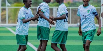 Fédération Guinéenne de Football