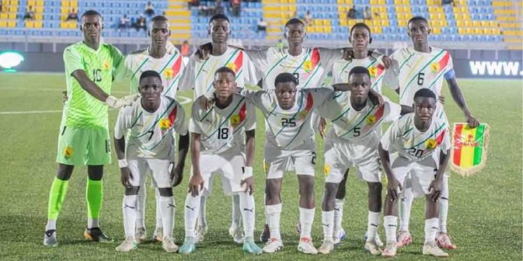 Fédération Guinéenne de Football