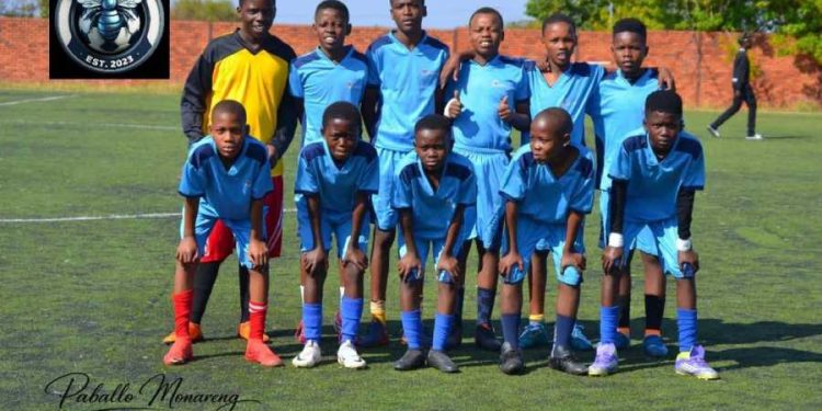 Blue Bees Football Club