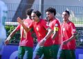 Lionceaux du Maroc