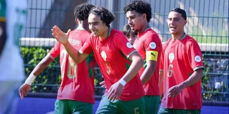 Lionceaux du Maroc