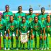 Lionceaux du Sénégal